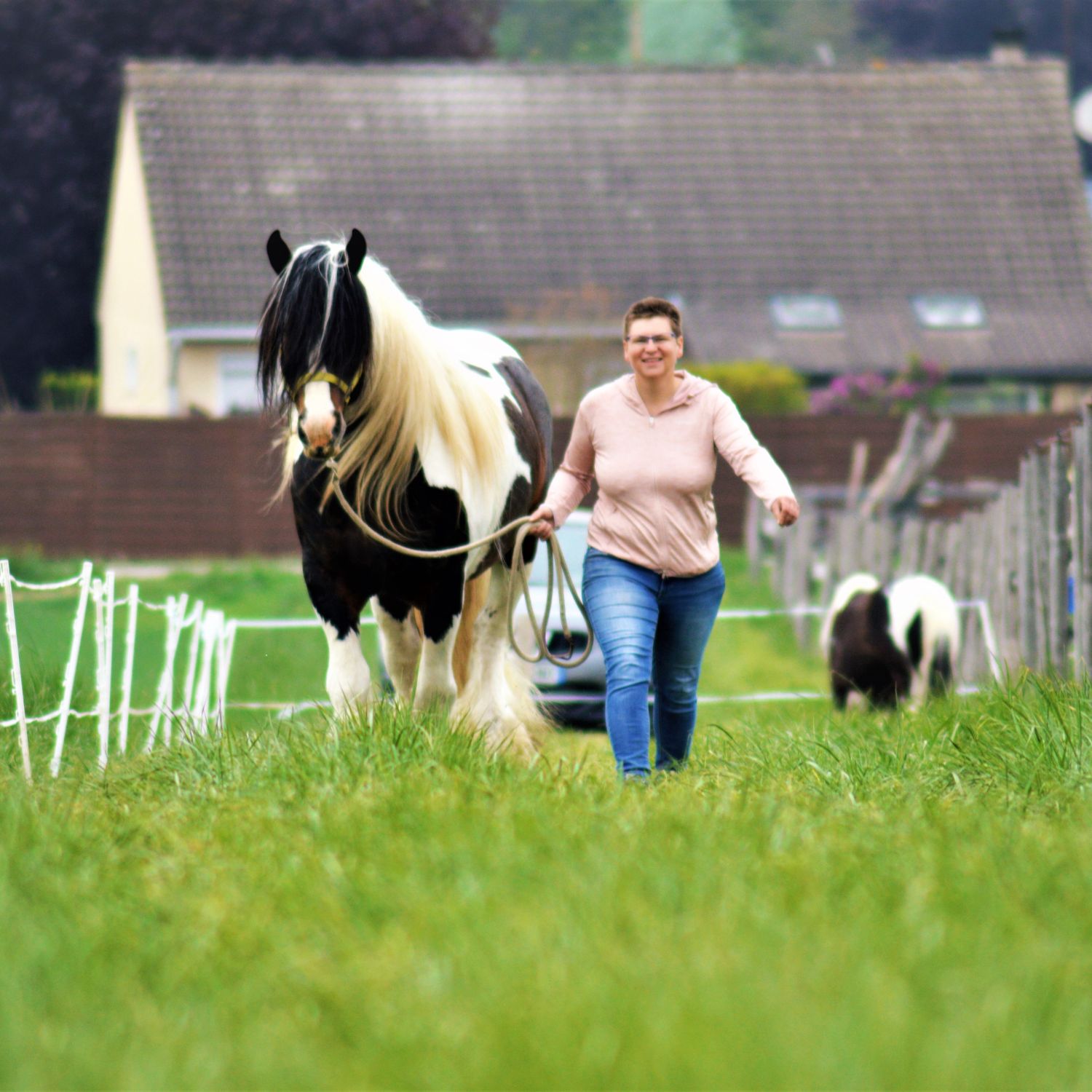 Une humaine marche avec le sourire en tenant son cheval en longe et licol